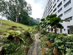 Blk 203 Petir Road (Bukit Panjang), HDB 4 Rooms #498891191